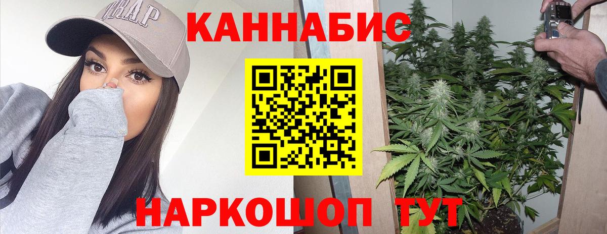 Конопля MAZAR Лабытнанги
